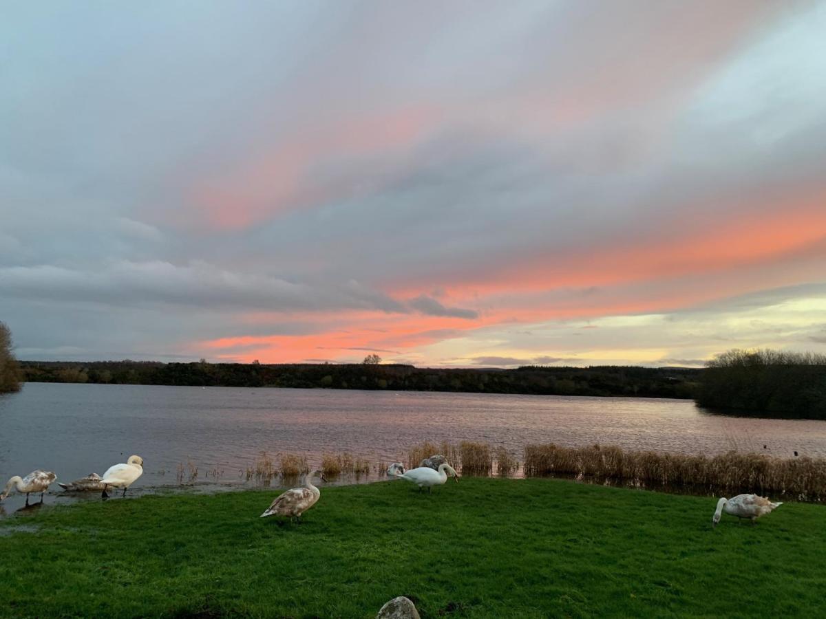 Lochside Loft - Self Catering Apartment For 2 In A Great Location For Inverness Airport And Both Cabot Highlands & Nairn Golf Courses Екстер'єр фото
